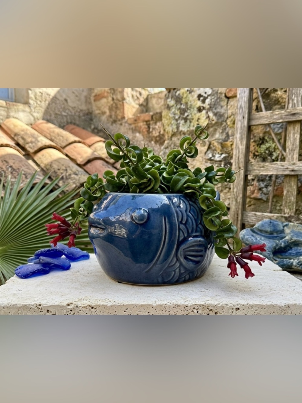 Large Blue Ceramic Fish Planter with Drainage – 10 Inch Cobalt Blue Fish Pot
